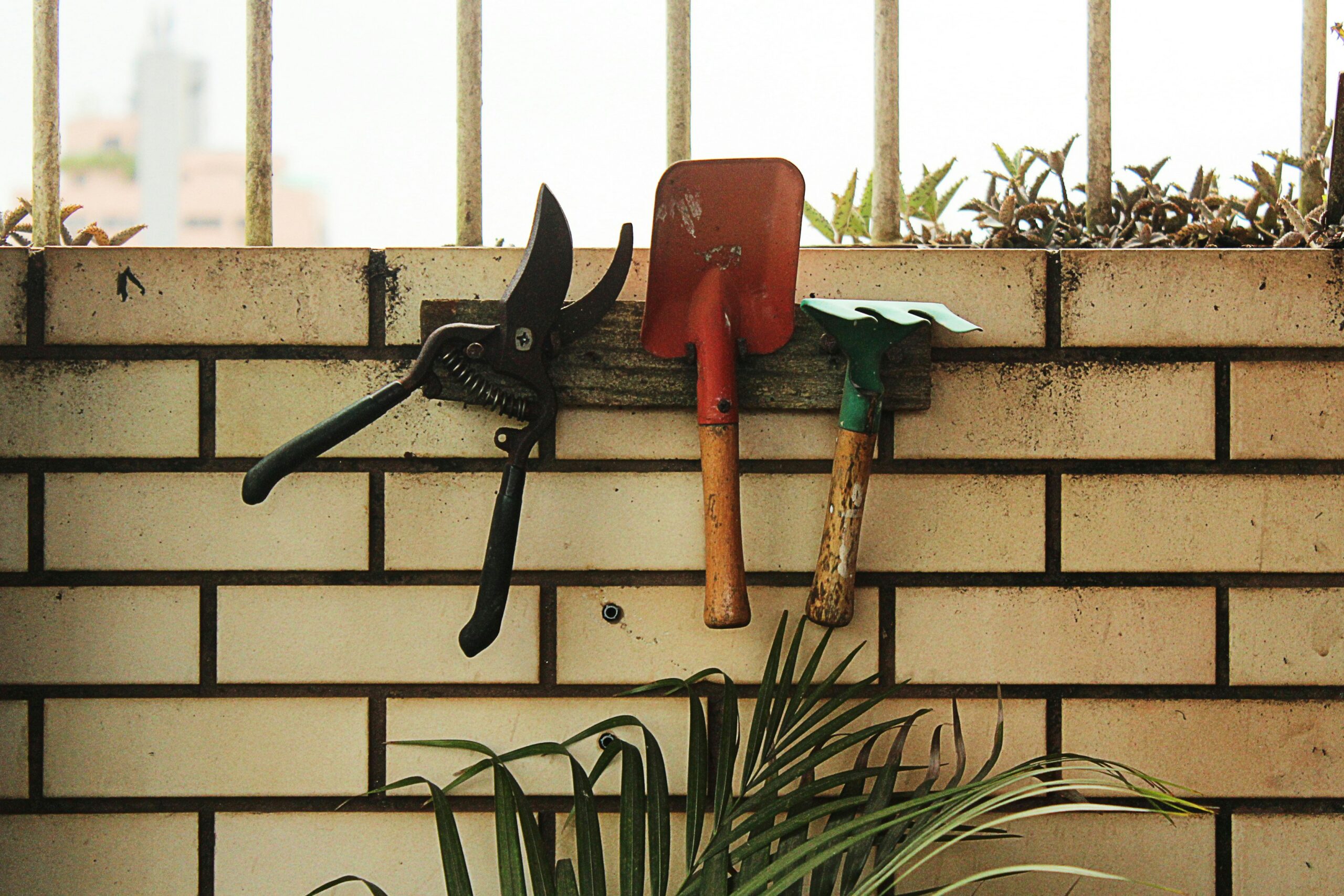 The Essential Guide to Cleaning Garden Tools